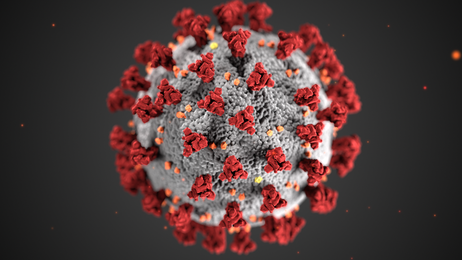 冠病克星！它以“死亡拥抱”阻止病毒感染人类细胞