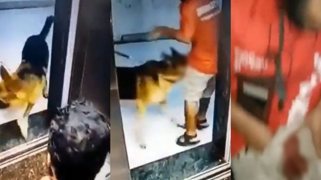 印度外送员出电梯遭狗咬下体