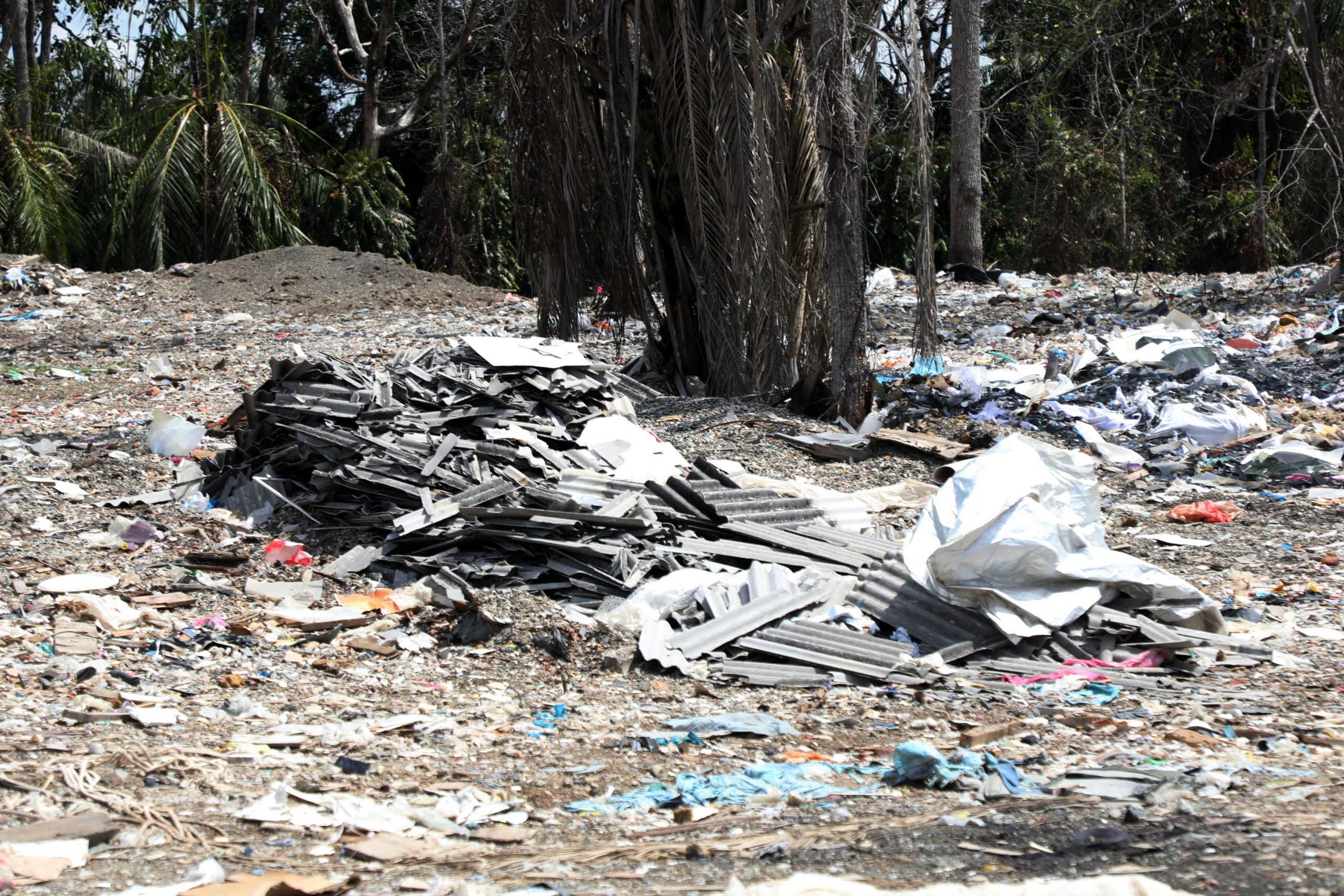 大都会（14头）/尽管市议会之前已取缔，不料非法垃圾场还是持续运作！