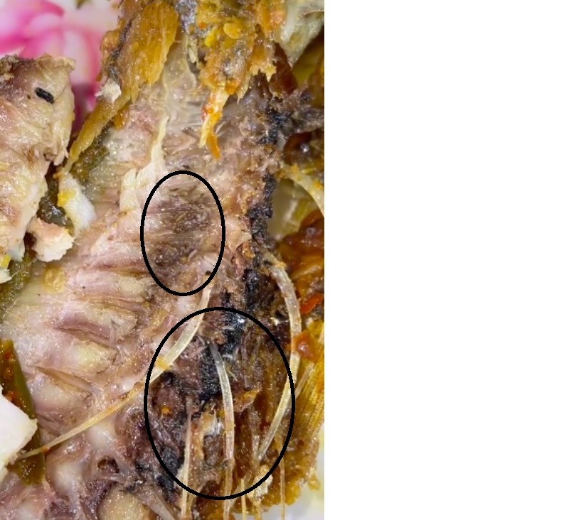 女子投诉吃鱼发现蛆虫 餐厅员工：那是正常的 ！