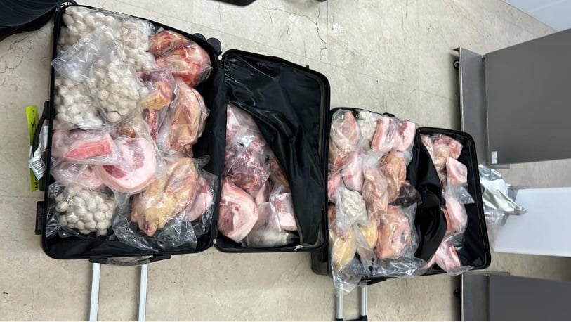 携200多公斤冷冻肉类入新 中国旅客被罚1万7500新元