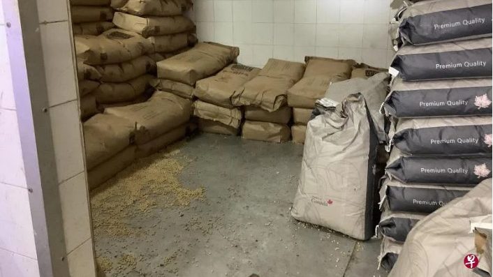 狮城豆干厂发现蟑螂 业者被罚4200新元