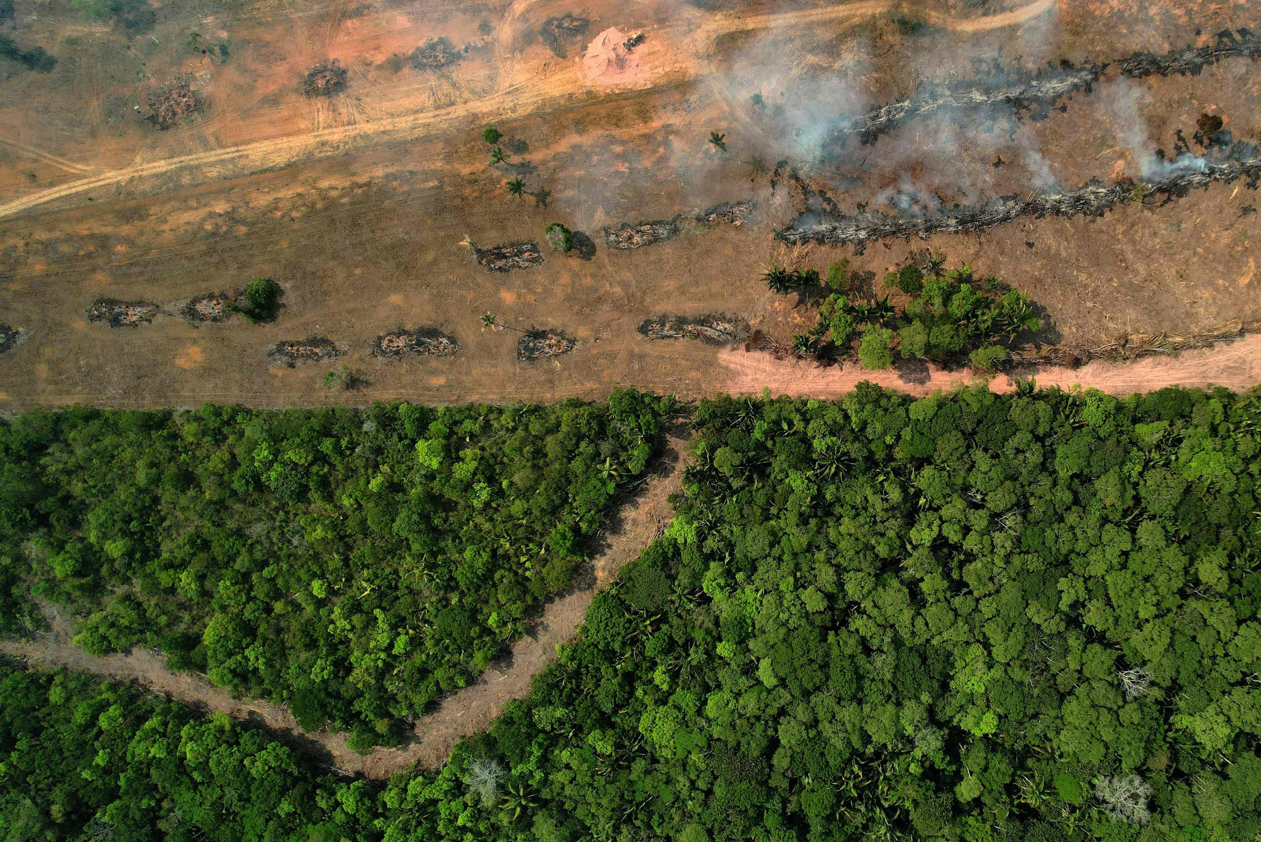 巴西亚马逊雨林8月火灾逾3万起 12年来同期最糟