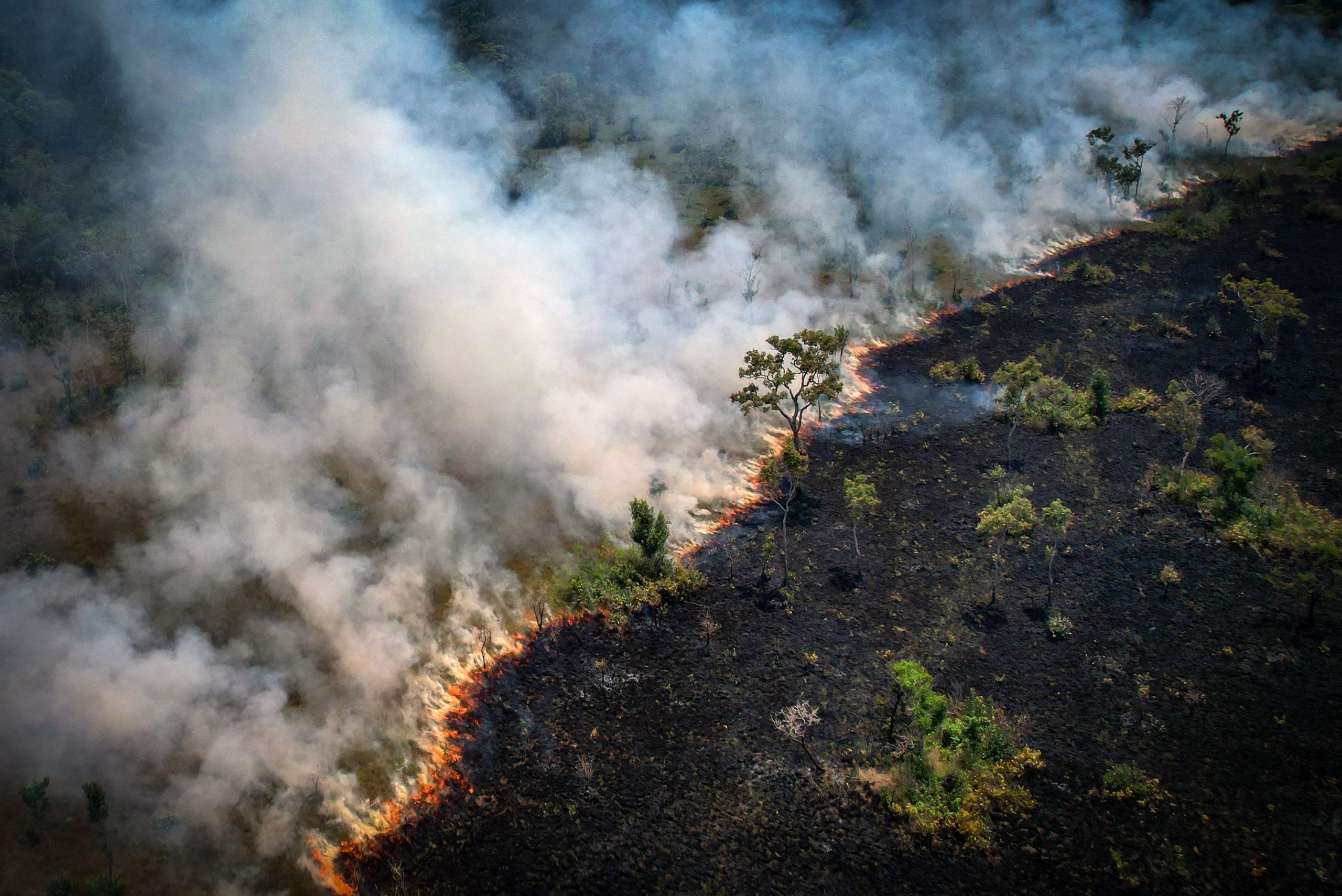 巴西亚马逊雨林8月火灾逾3万起 12年来同期最糟