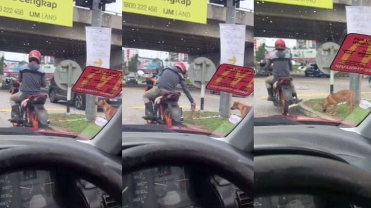 男子摩托停交通灯前一举动获网赞 “行善就如此简单”