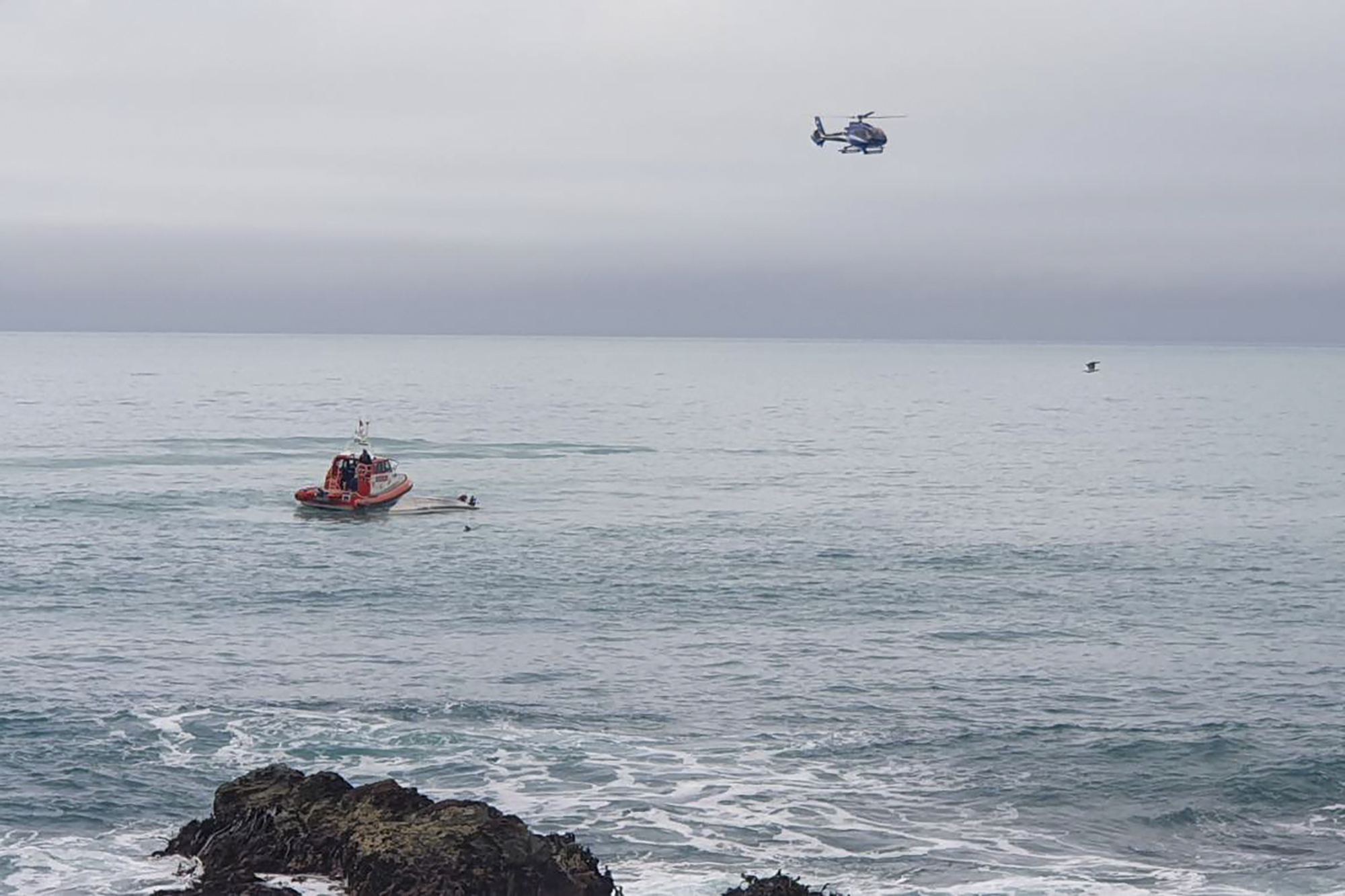 看世界 纽西兰发生船鲸相撞造成2死3失踪