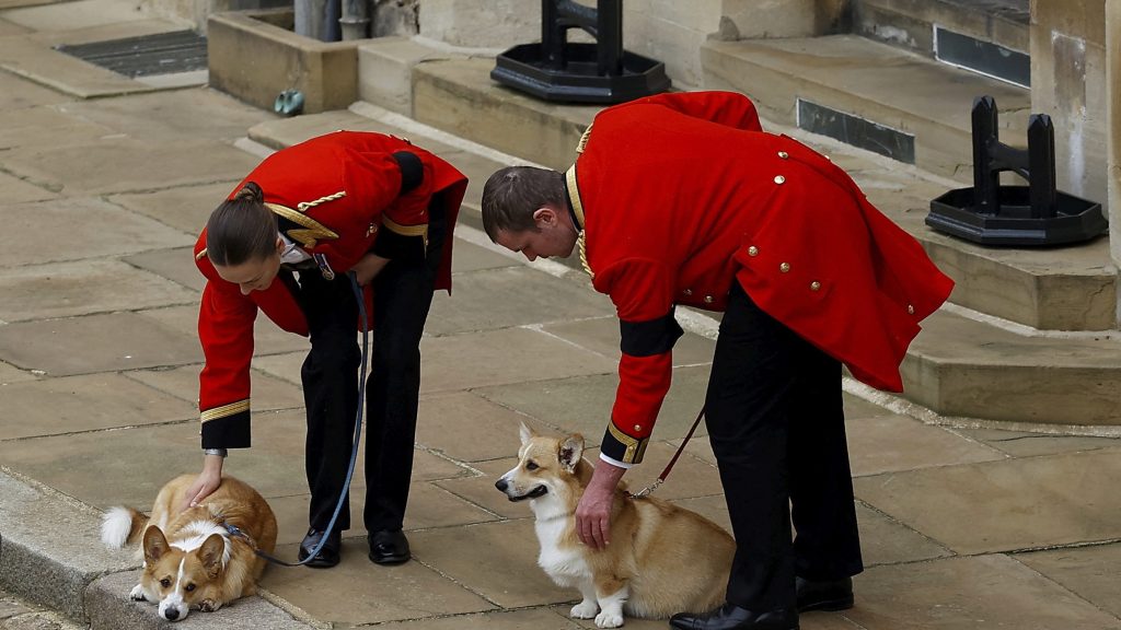 英女王安葬温莎  爱犬和爱驹送主人最后一程