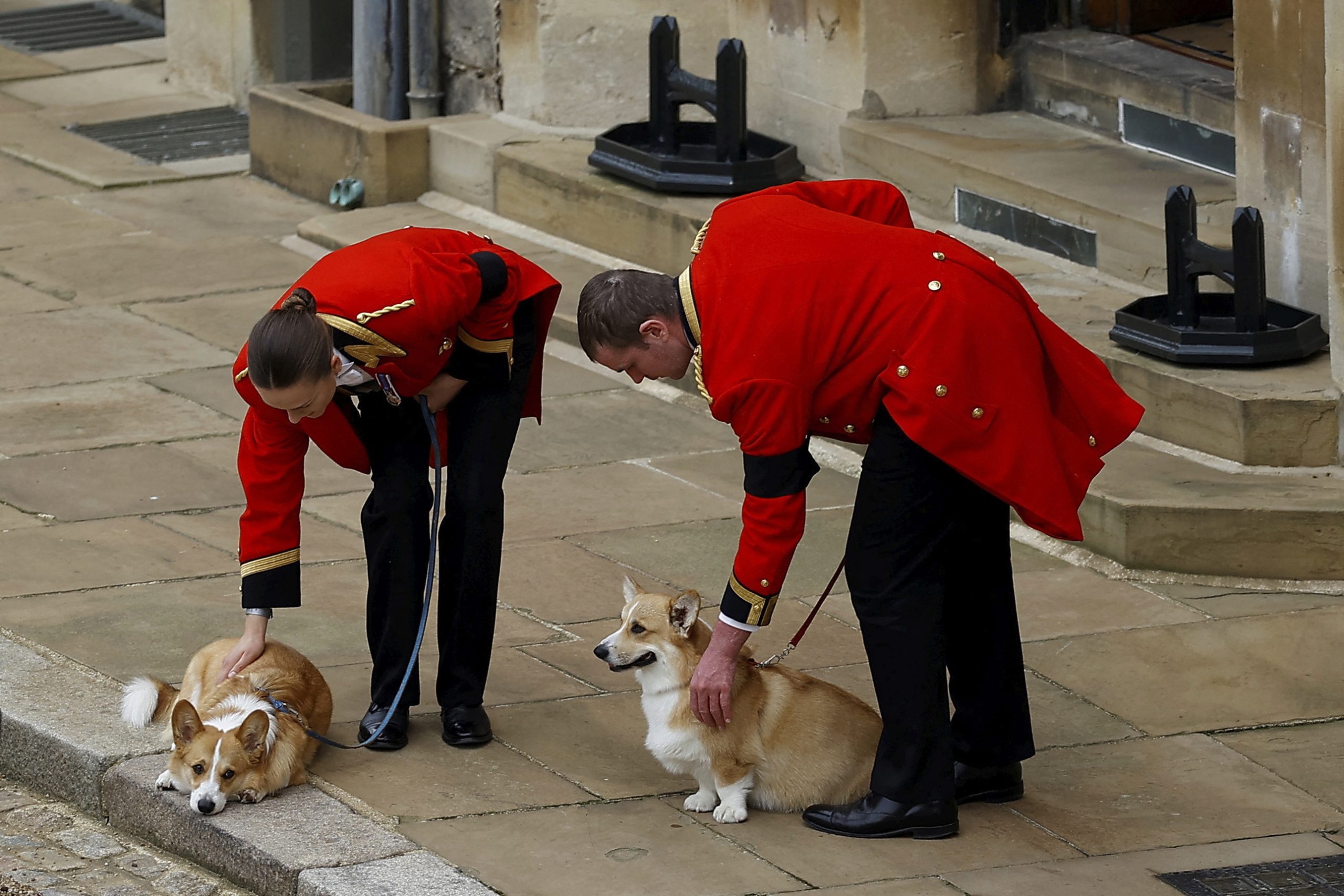 英女王安葬温莎 爱犬和爱驹送主人最后一程