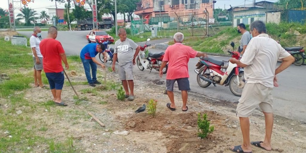 杜绝垃圾虫      丹C新村展开植树运动