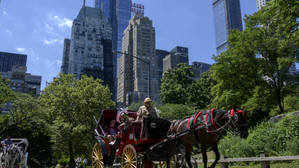 End of the road for New York’s horse-drawn carriages?