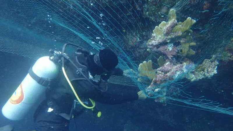 渔网毁西巴丹珊瑚礁 25潜水员花2天清除