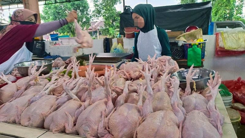 出口禁令解除或致短缺 肉鸡农场价零售价失序