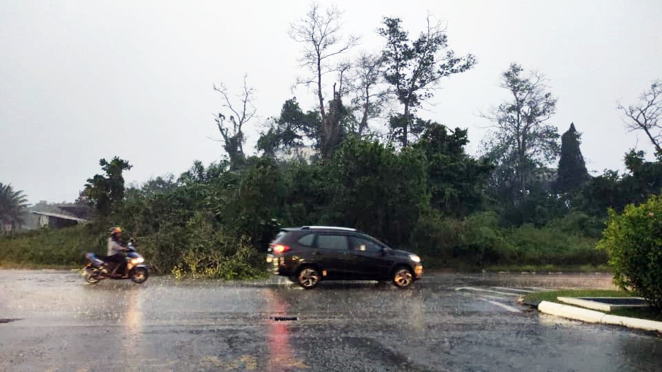 东：暴风雨路边树倒阻碍交通 当局及时清理