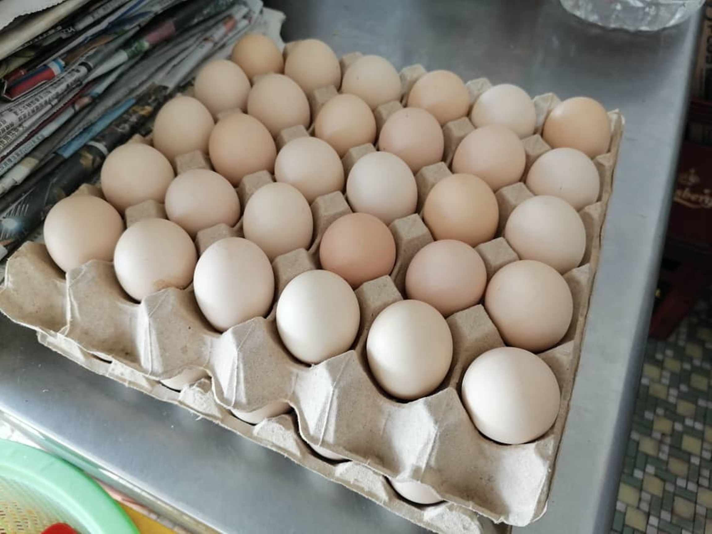 东：鸡蛋减产持续超过五周，市场供不应求情况加剧。