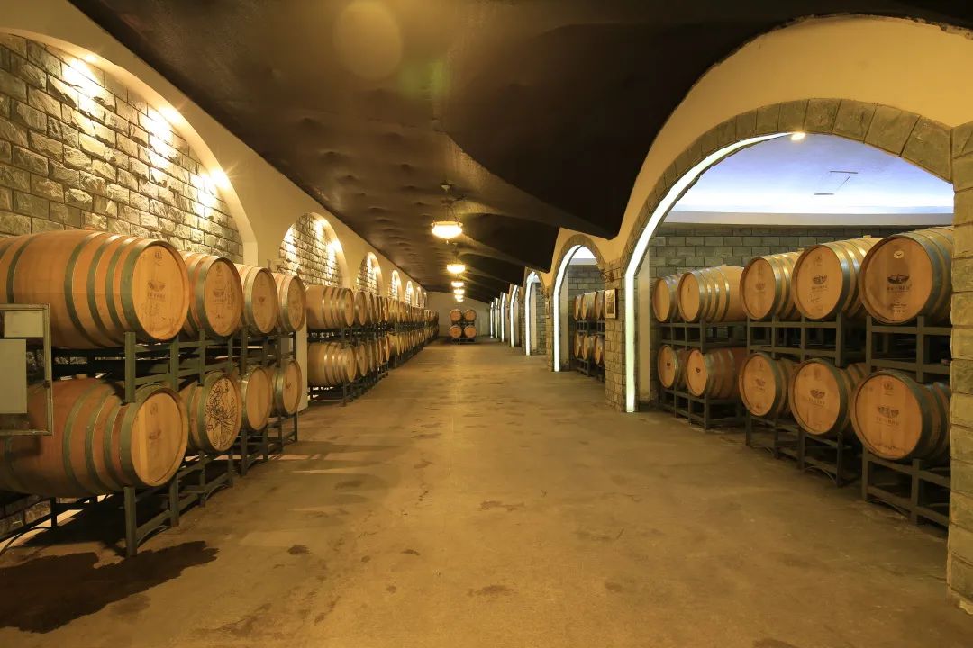 二十大新局系列 ／ 种植+生产+旅游完美融合  蓬莱市 葡萄酒“矽谷”