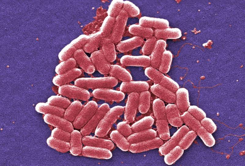 印度面临抗药性隐忧 恐导致超级细菌大流行