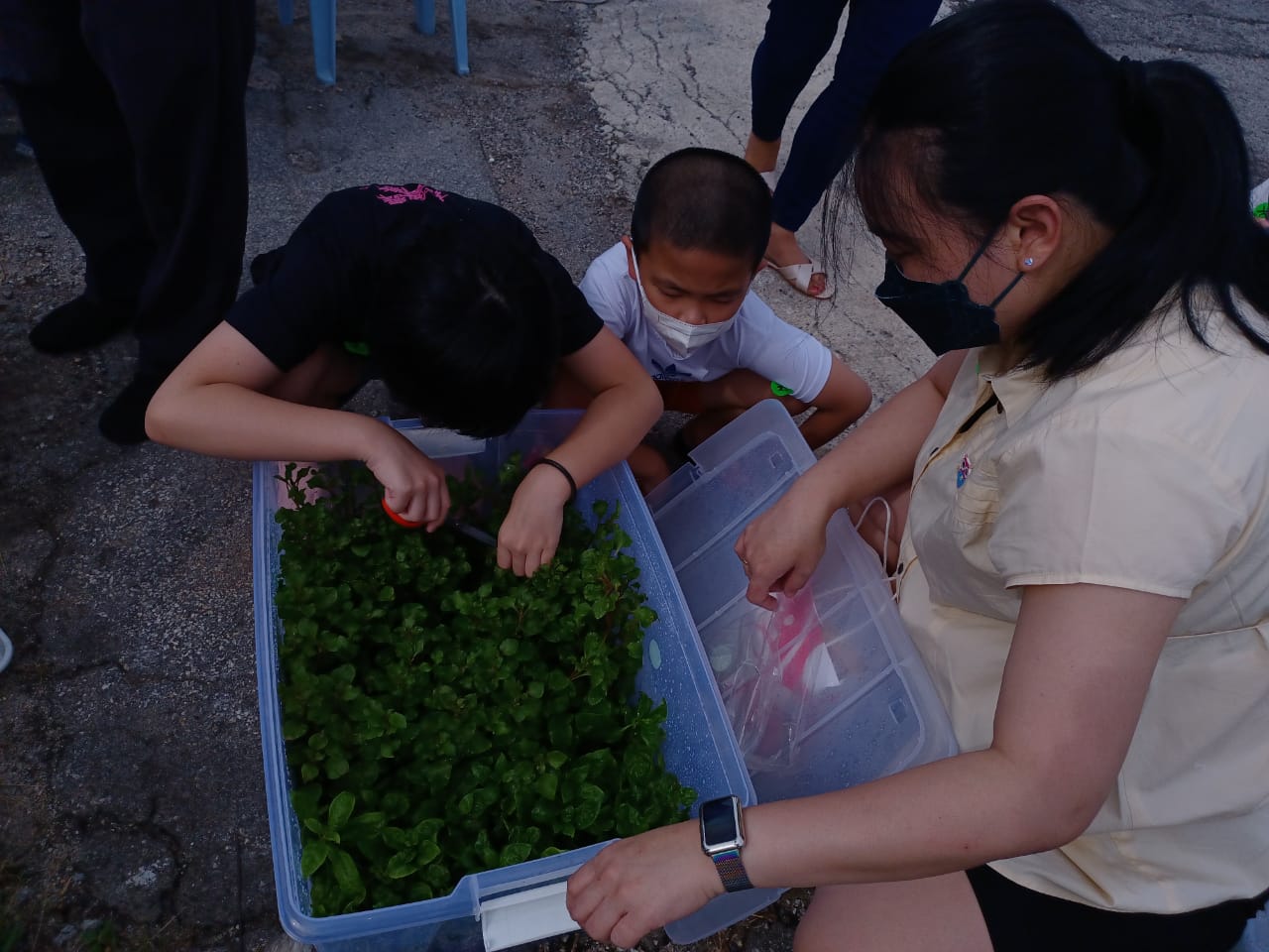 大都会/身障博士邓志成在仙水港村联邦村委会安排下，向村民分享有机蔬菜种植容器的妙方
