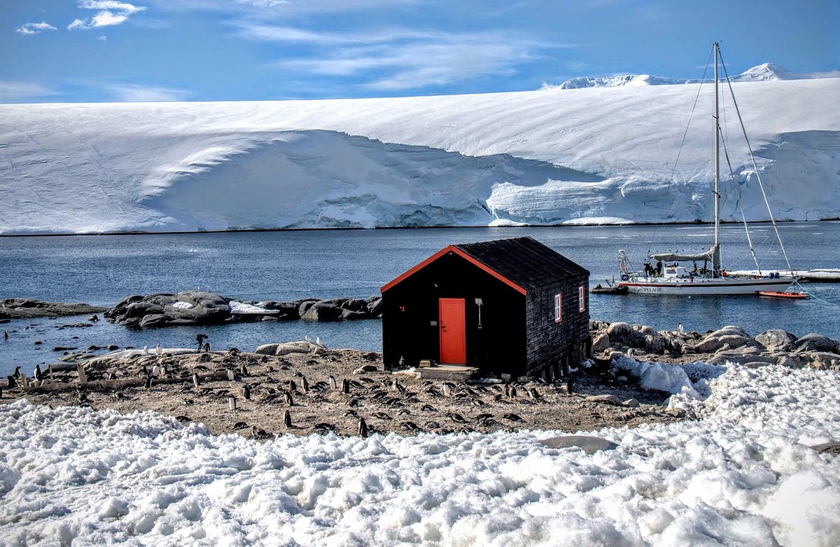 拼盘）南极洲邮局请人　专责统计企鹅数量　没电没厕所水仍有6千人应征