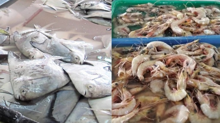 独家| 渔总：年杪雨季影响鱼供  明年春节或吃贵鱼虾