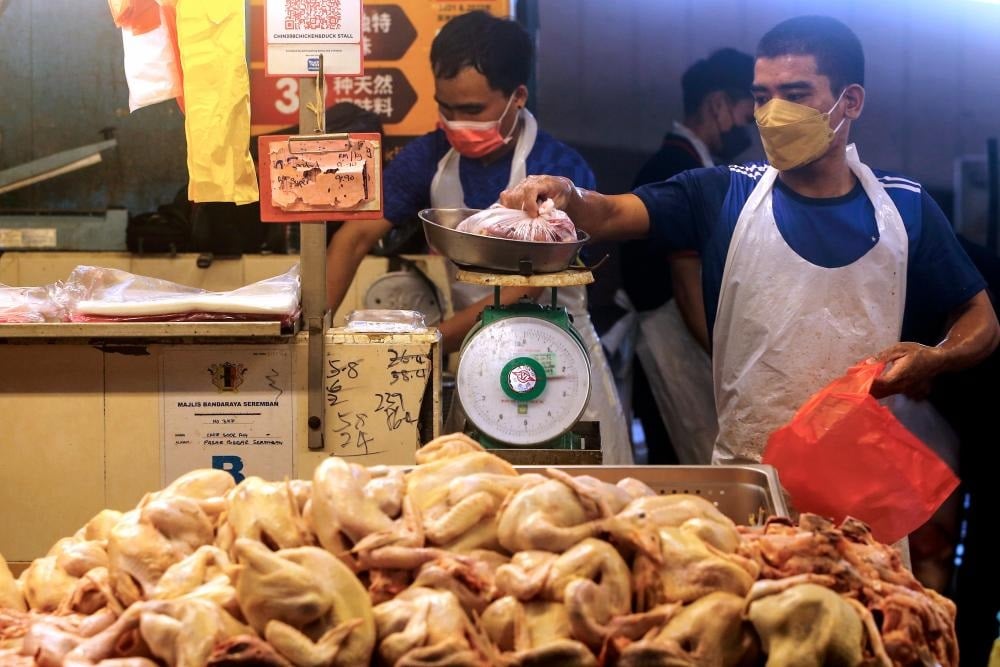 考虑解除鸡肉出口禁令·副农长：本月就会宣布