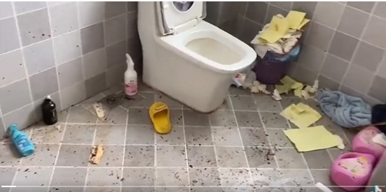 视频 | “你能想像租客是女生吗？”可怕垃圾屋到处发霉发臭