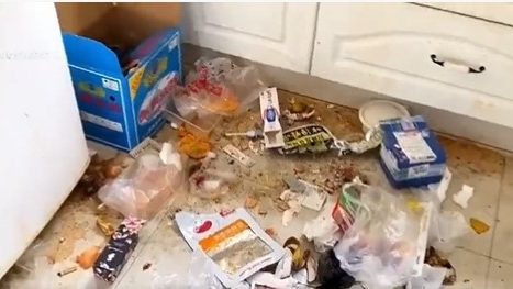 视频 | “你能想像租客是女生吗？” 垃圾屋到处发霉发臭