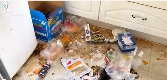 视频 | “你能想像租客是女生吗？”可怕垃圾屋到处发霉发臭