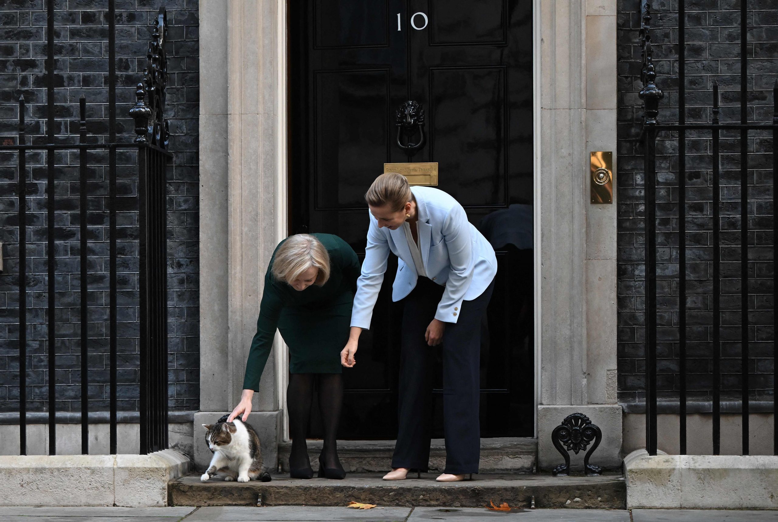首相弯腰想摸摸　“英国第一猫”直接逃跑好尴尬