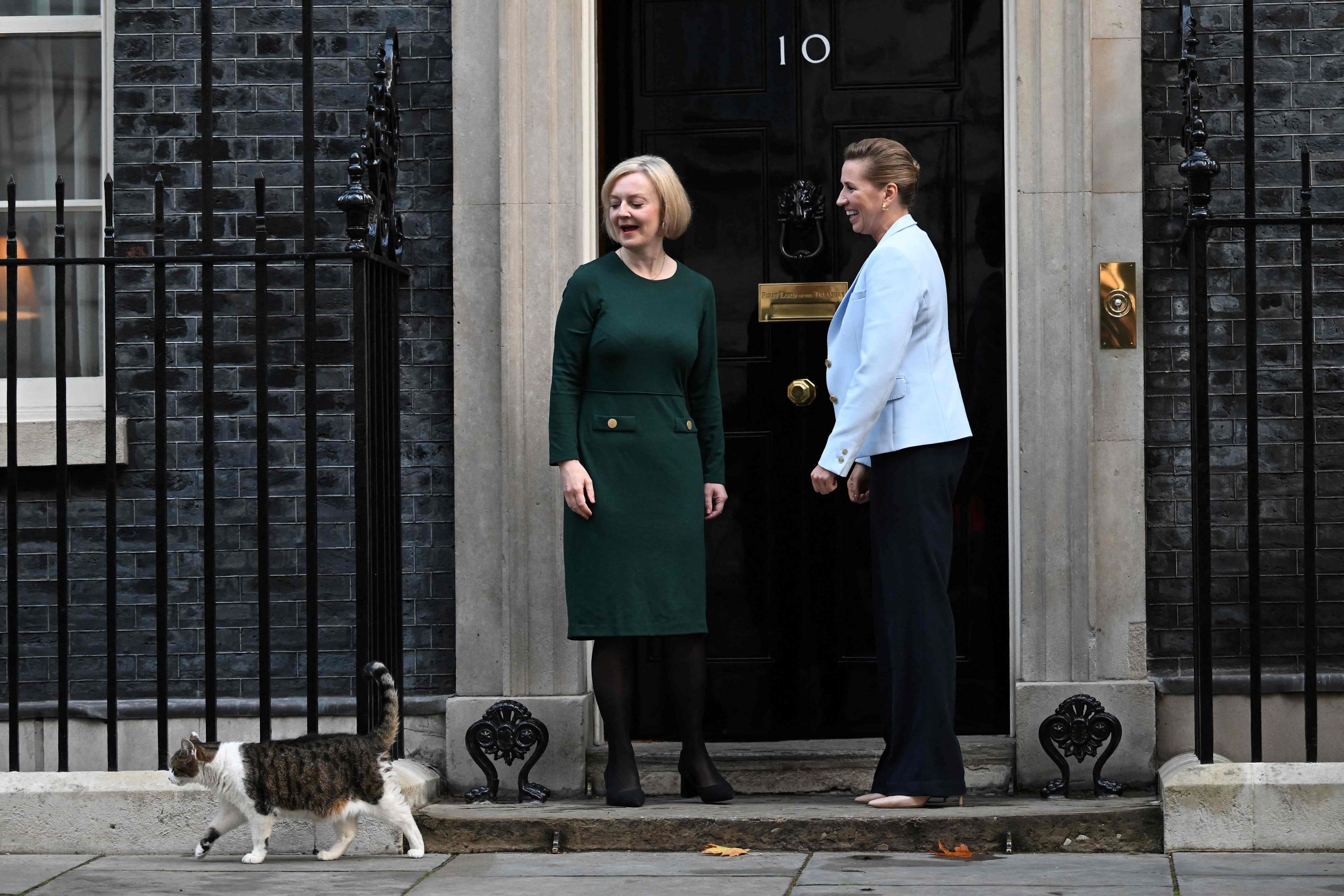 首相弯腰想摸摸　“英国第一猫”直接逃跑好尴尬