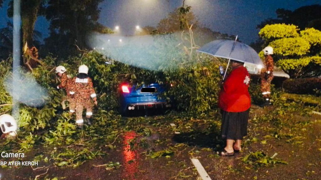 一场暴风雨肇4宗树倒 3人被救出无人伤