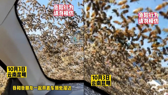  （有视频）男子手多拿走“蜂王” 被蜂群爬车窗追一路 