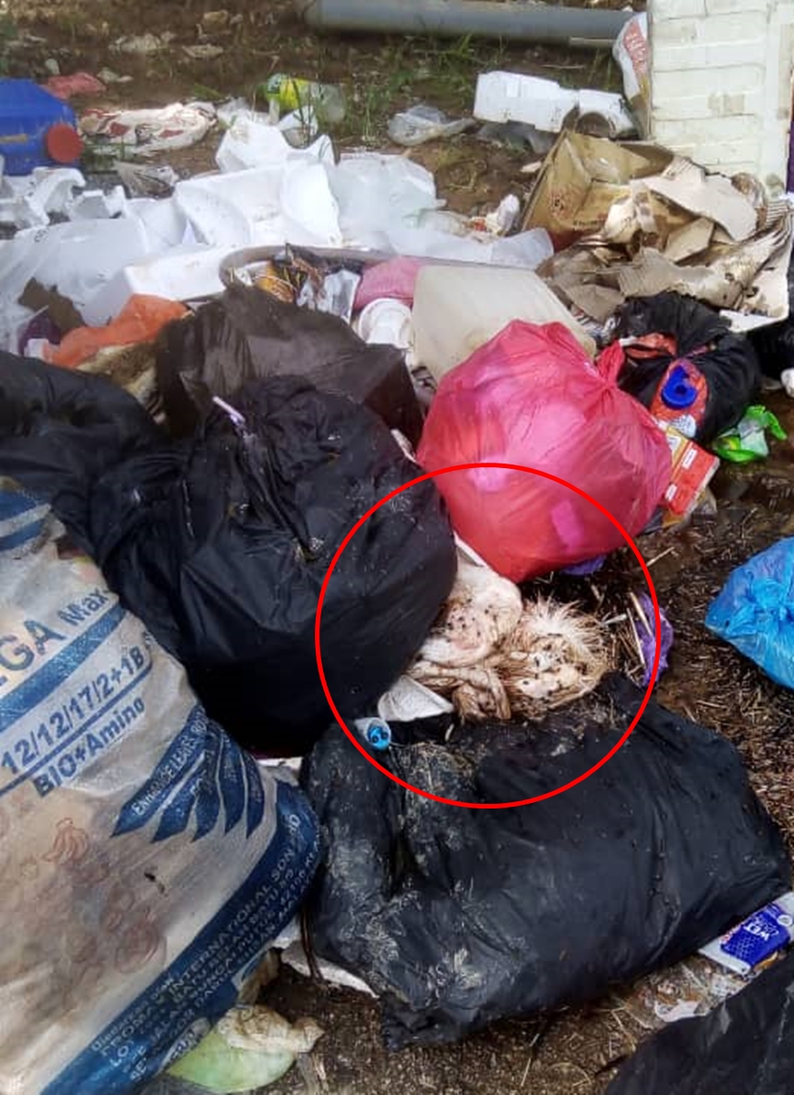 NS03武吉不兰律：询众要求建垃圾站仍无阻“垃圾虫”恶习；村长怒了：做个有素质的公民