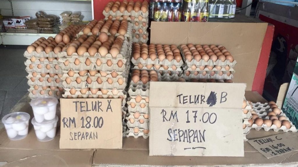 一托鸡蛋涨价至RM18！老板：被迫每颗蛋付2仙“附加费”