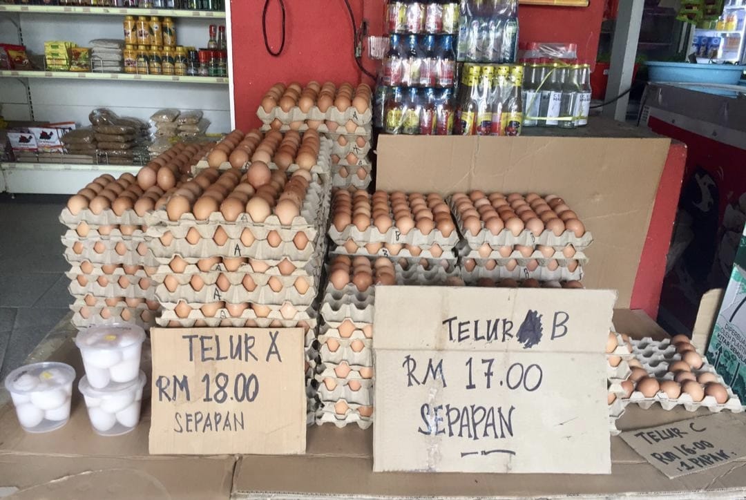 一托鸡蛋涨价至RM18！老板：被迫每颗蛋付2仙“附加费”