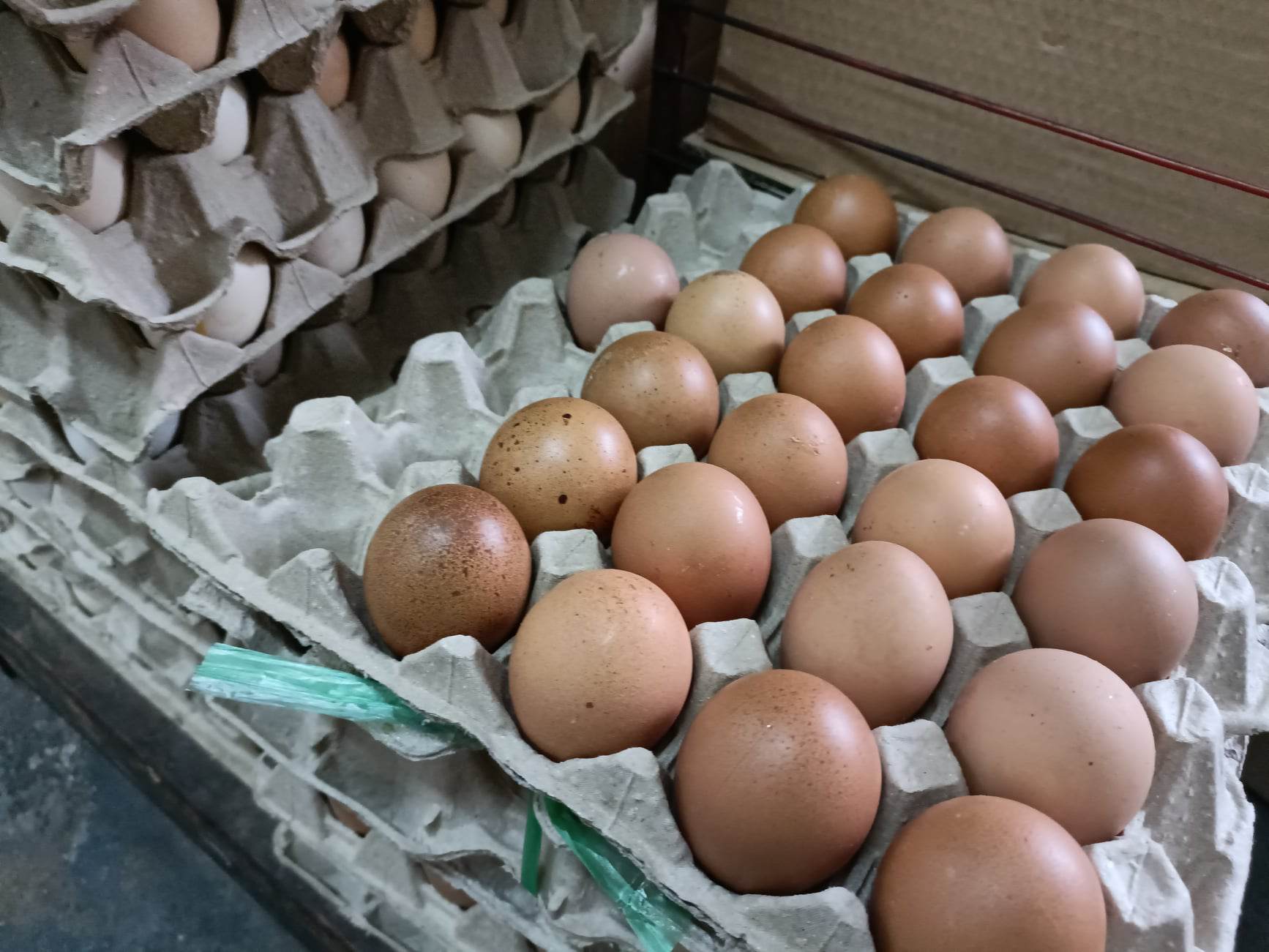 大都会封面：鸡蛋缺货，小贩影响最深