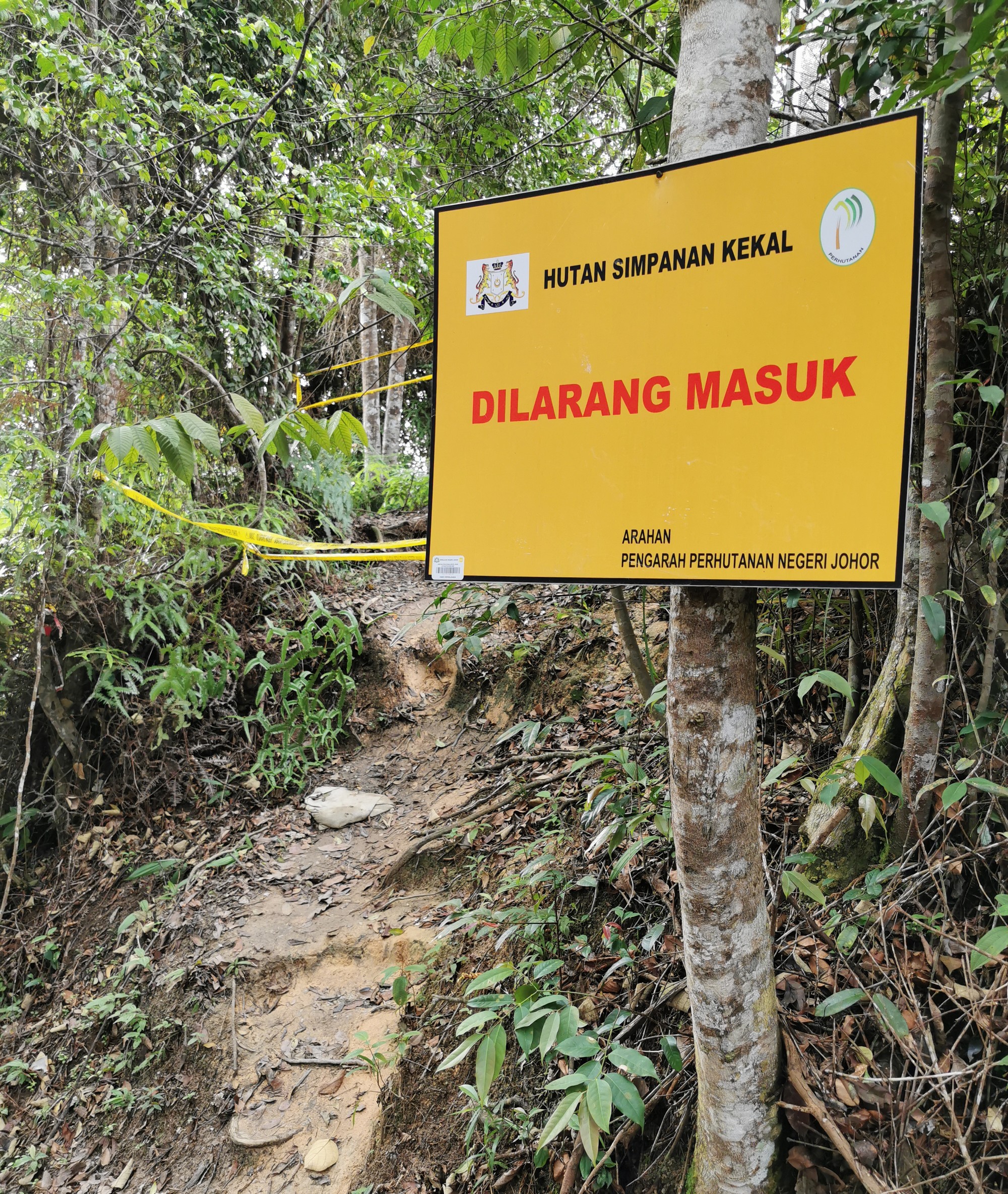 **已签发**柔：封面：【特稿】：峇龙华山登山者展开联署请愿，要求森林局放宽登山准证条例