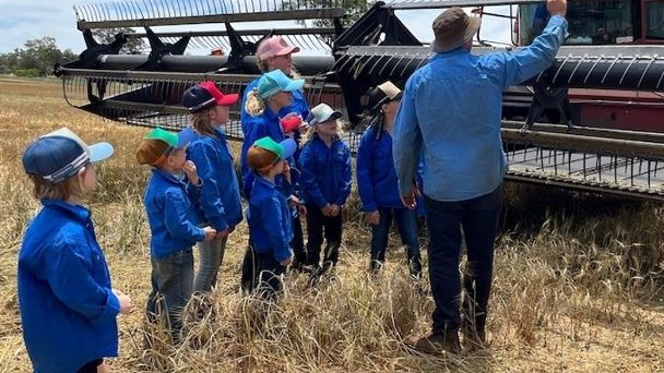 澳洲新省偏远学校7童合作耕田　种出170吨小麦