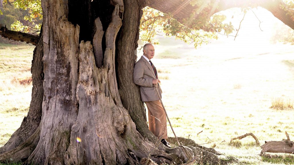 查尔斯三世登基后首庆生74岁　倚树享受冬日暖阳