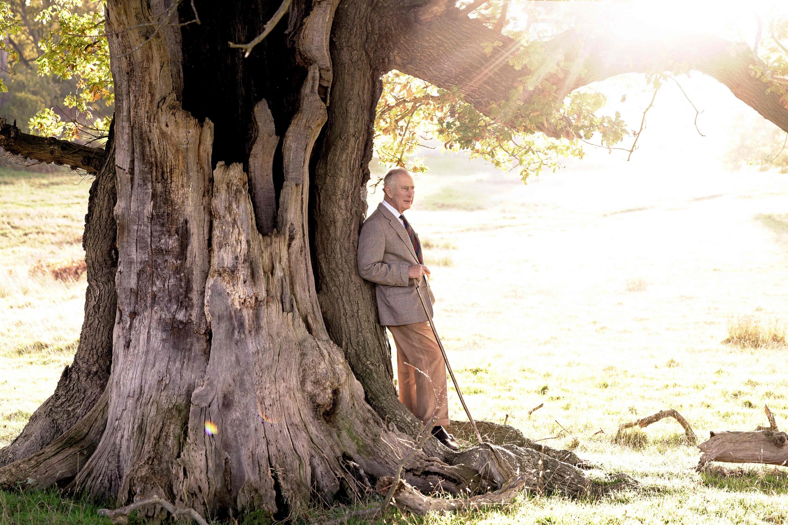 查尔斯三世登基后首庆生74岁　倚树享受冬日暖阳