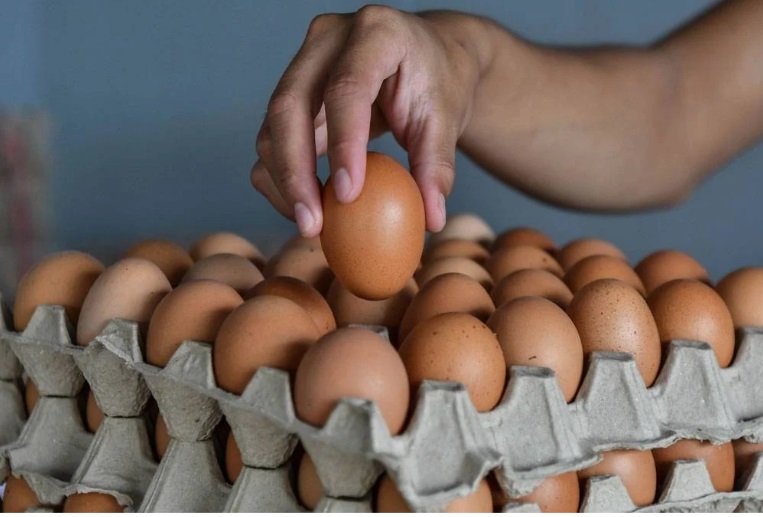 独家 | 30年经验蛋商：MCO后减产·大马每天少产600万粒蛋！
