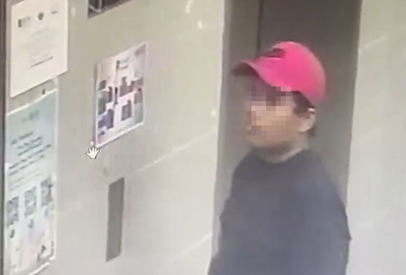 视频|出门买药 11岁女孩搭电梯遭猥亵 网揪众“抓戴红帽子男子”
