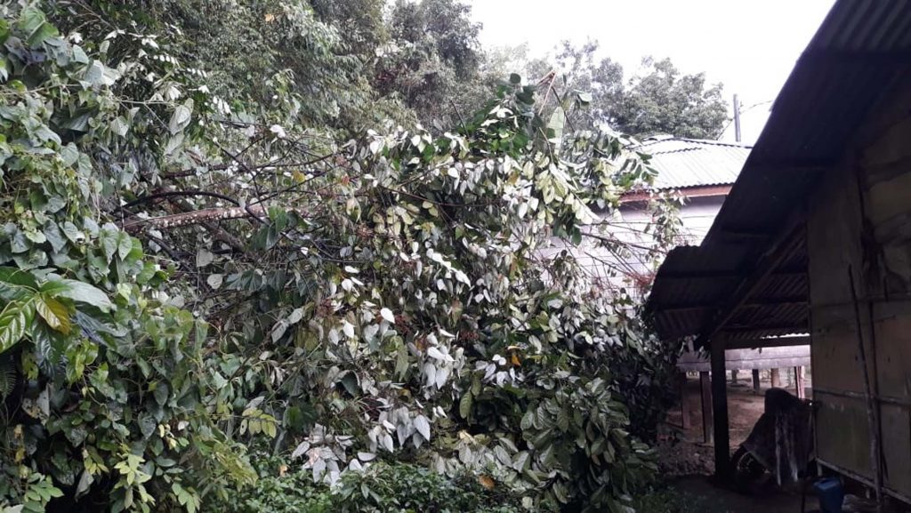 连绵大雨肇土崩水灾 甘榜柯拉圭5屋被埋