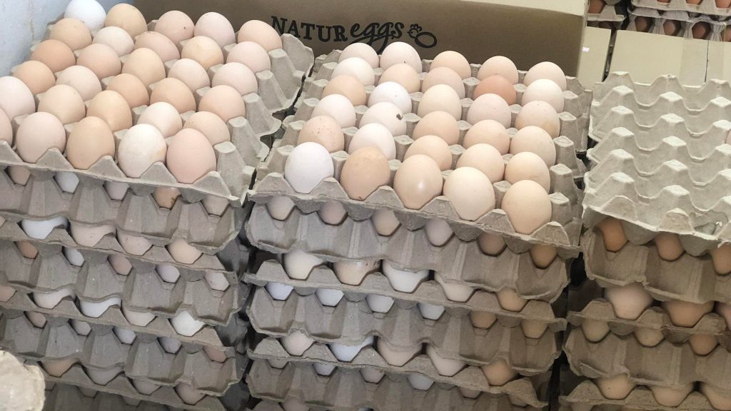 鸡蛋短缺 需大量用  饮食业者四处“扑蛋”