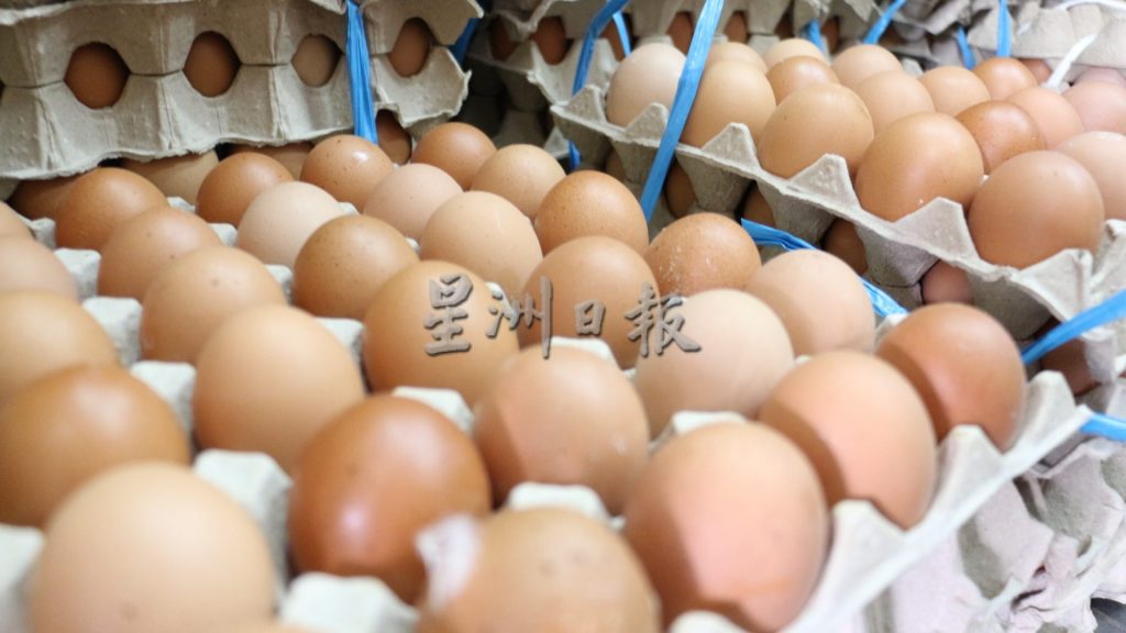成本压力人工短缺． 农场鸡蛋减产两成