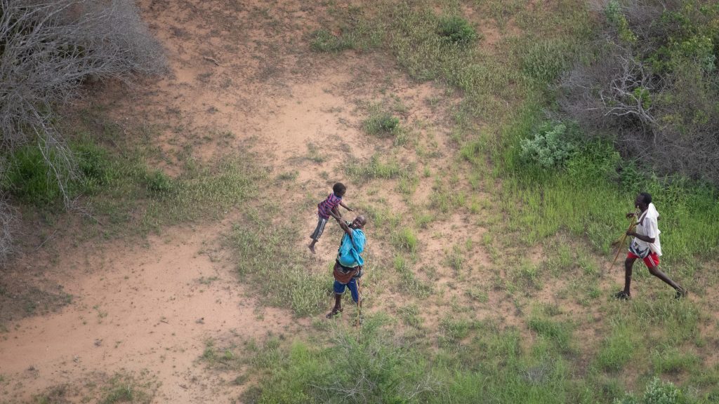 4岁男童与家人走散 荒野中奇迹生存6天