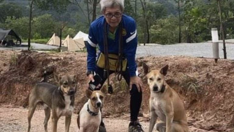 峇冬加里营地土崩 | 男子带3狗去露营遇难 尸体在爱犬“指引”下才被寻获