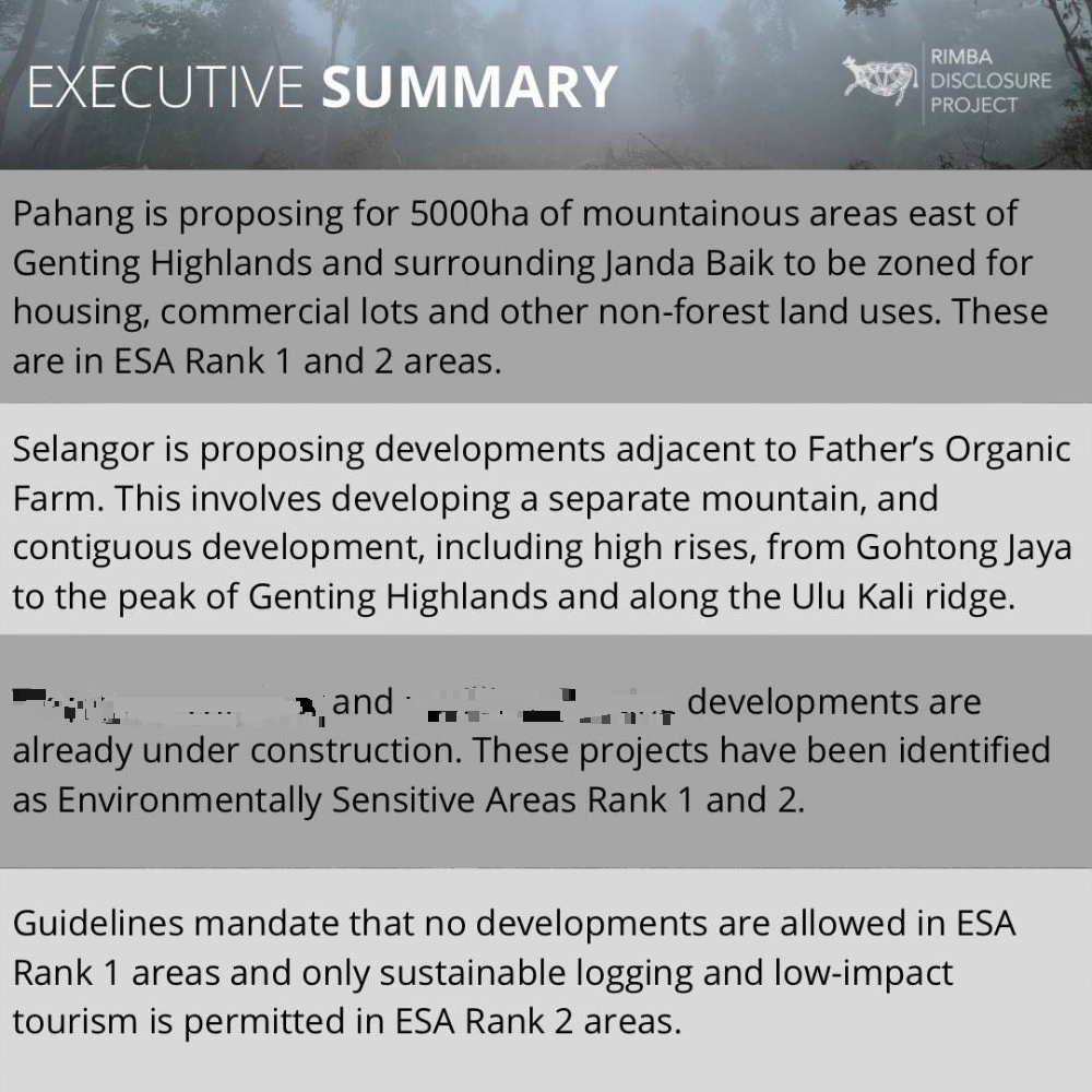 “森林揭弊计划”：云顶高原和周围山区超过5700公顷的区域用于发展