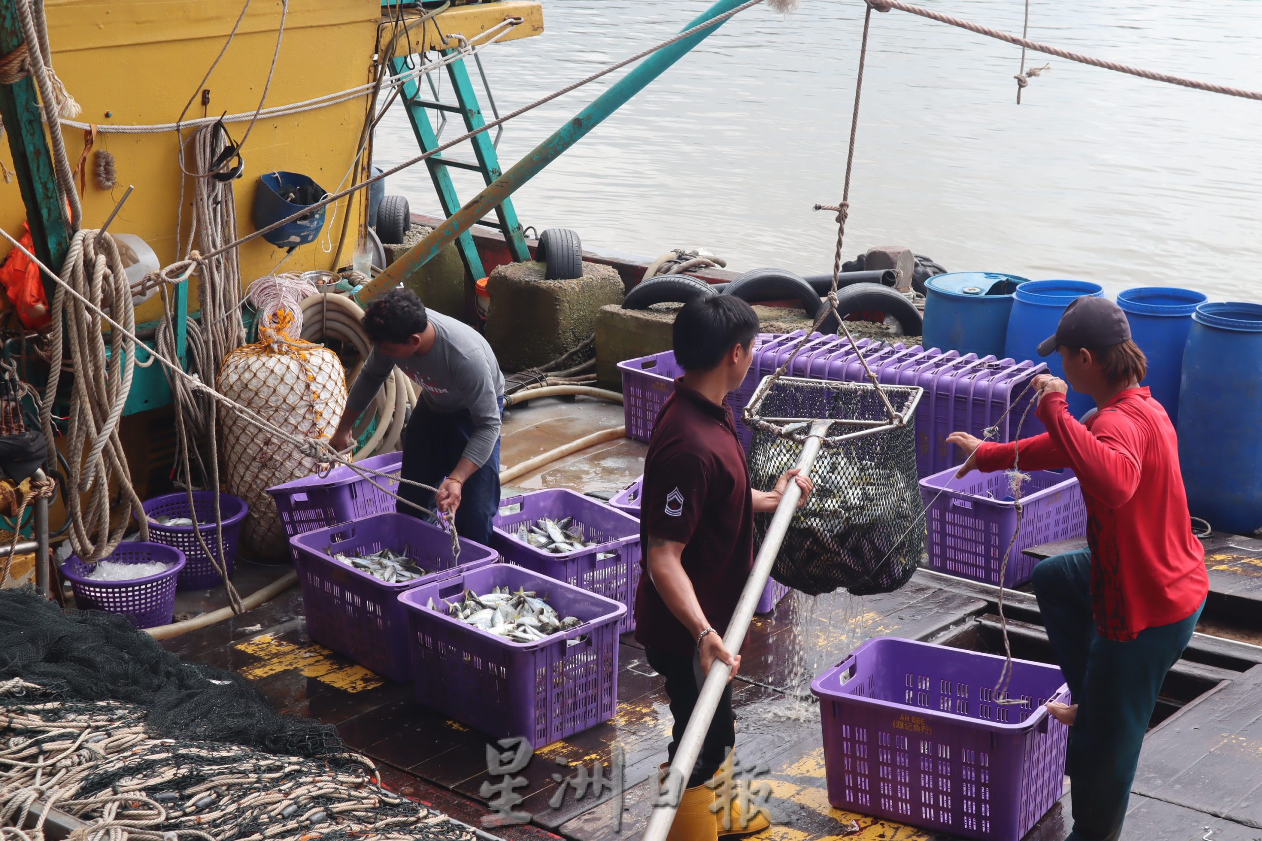 东：封港天加上补贴柴油供应不足，市场渔产涨价料超过30%，农历新年恐继续吃贵鱼。