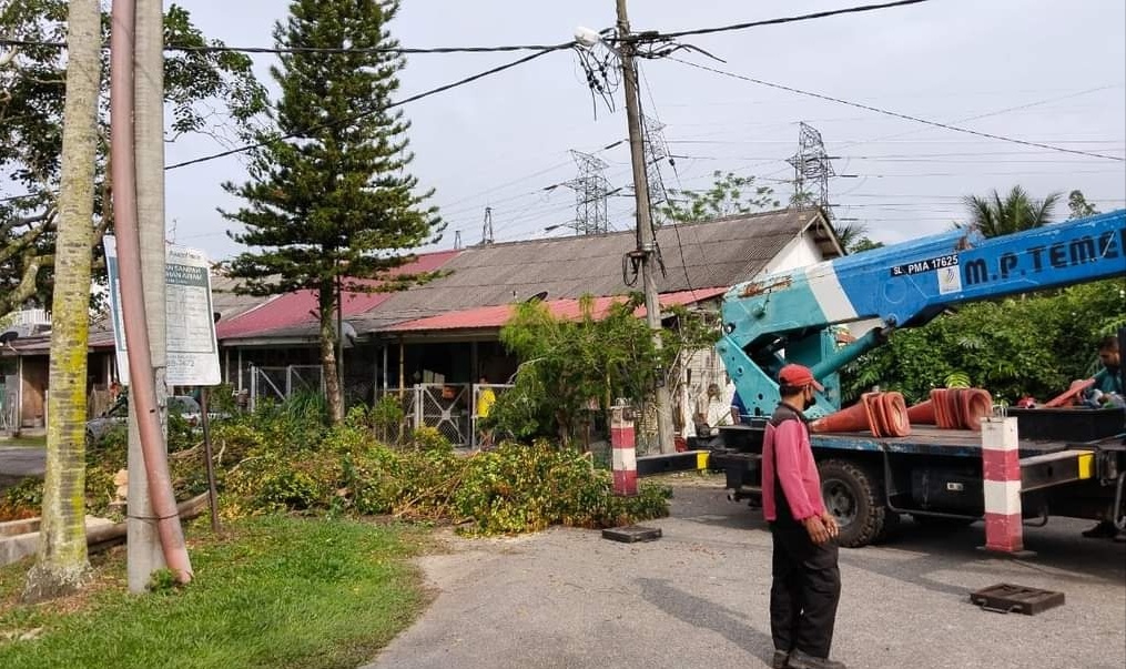 东：文德甲李增花园公园数棵茂密的树木，获得淡马鲁市议会砍树组派员修葺。