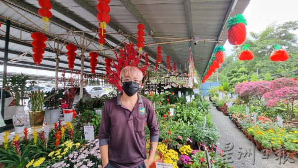 供FB／雨季 中国疫情不受影响，森花圃年花陆续上市